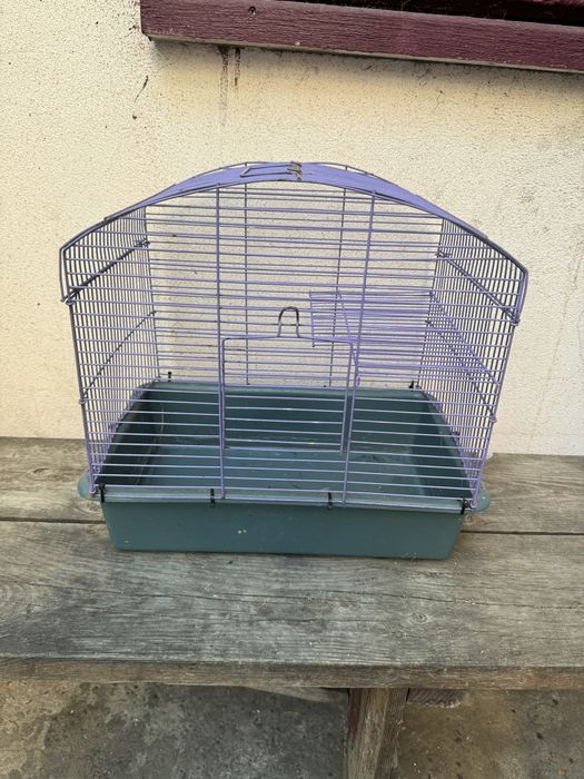 Кролики с клетками