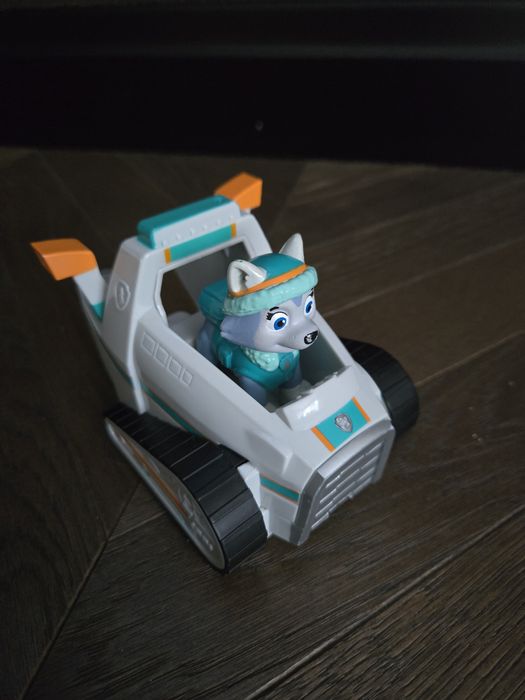 Psi Patrol Everest