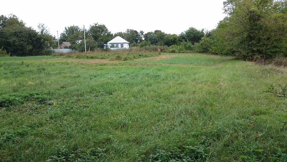 Земельный участок в пос. Линовица Прилукского р-на Черниговской обл.