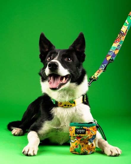 Hydrofobowa obroża regulowana dla psa - Chaba Story Jumbo Rozmiar S