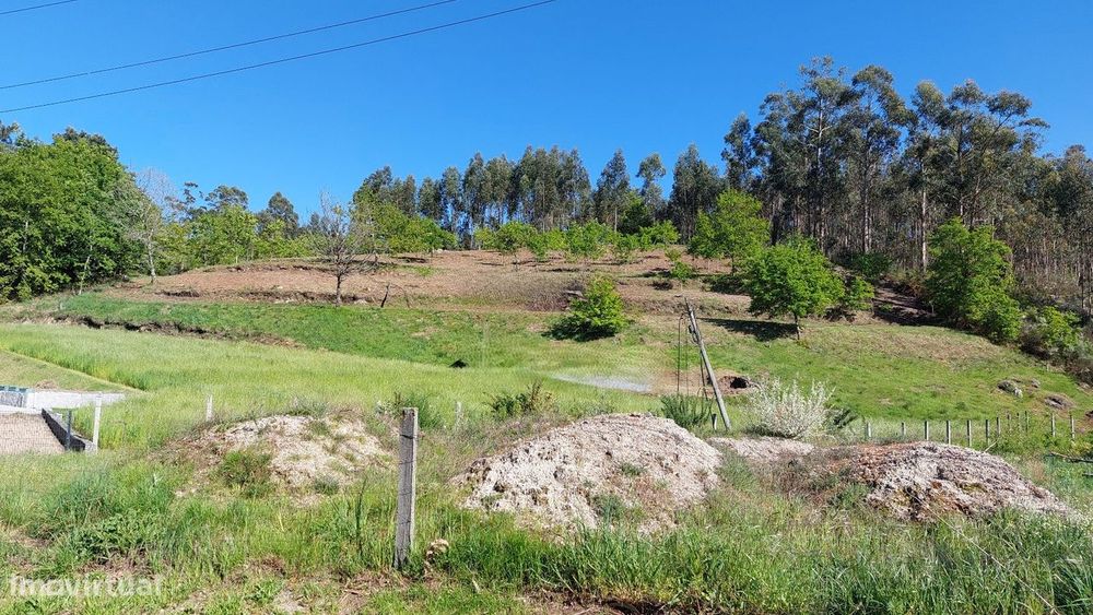 Terreno Terreno com 7.000m2 em Quinchães