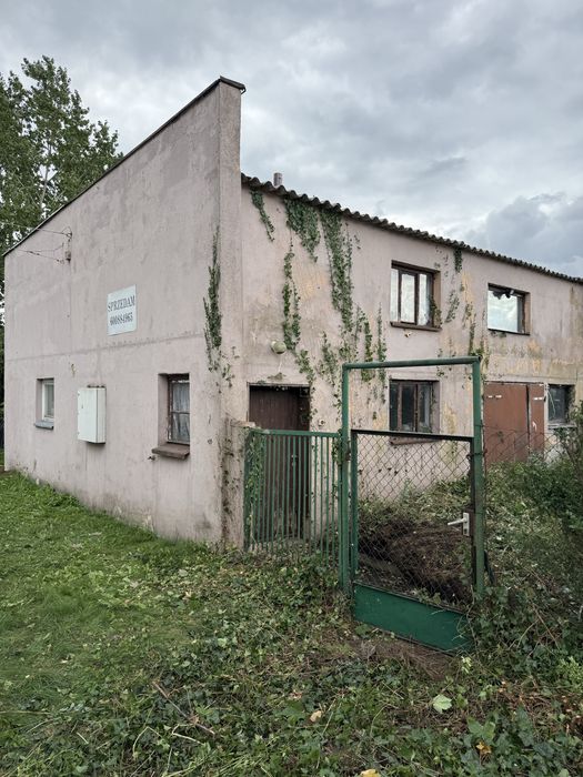 Zdjęcie 2