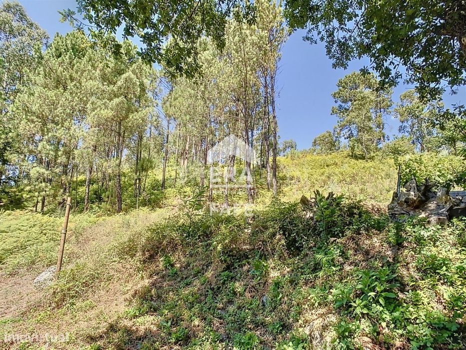 Terreno em Regadas com 3.800 m2