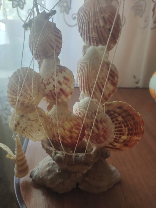 Ракушки в аквариум бу