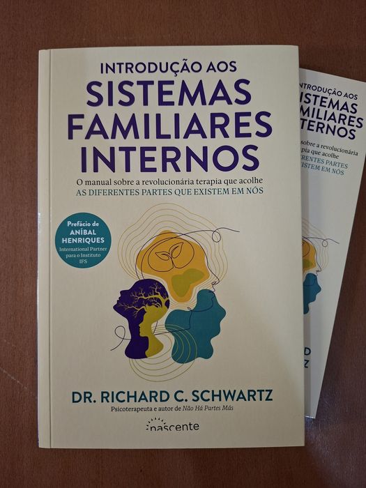 Sistemas Familiares Internos