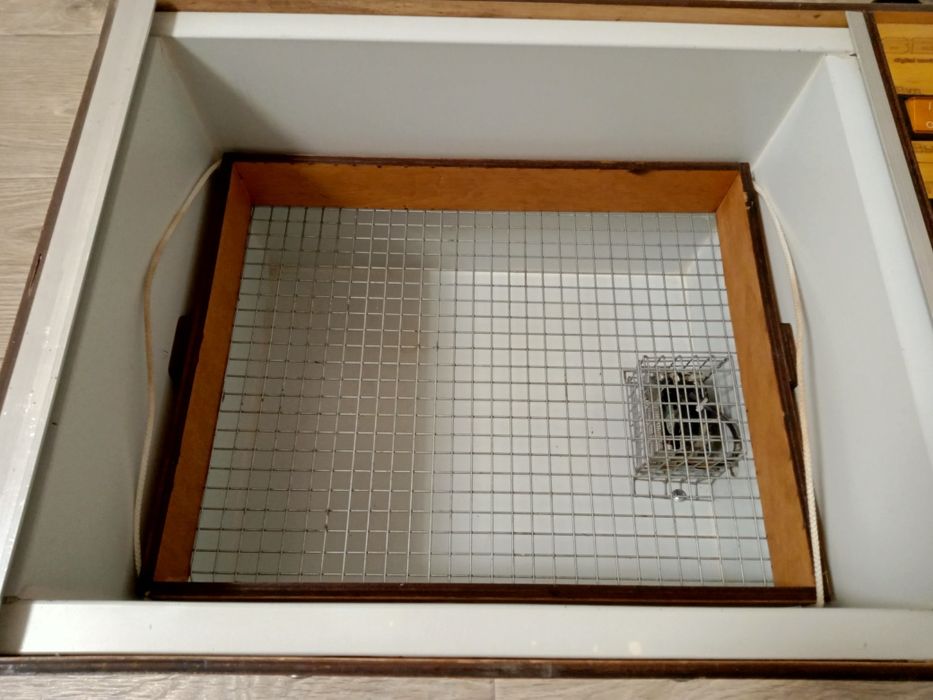 Інкубатор для яєць САМОВИВІЗ!