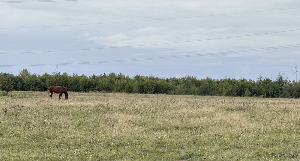 Продається ділянка в селі Забороль масив новобудов