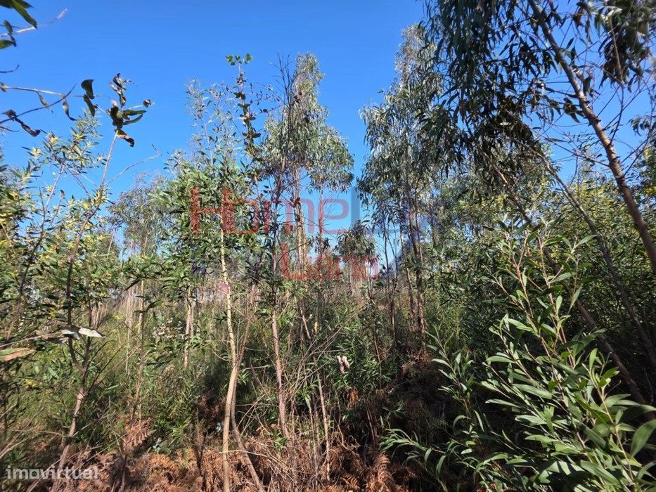 Terreno na zona industrial de Albergaria-a-Velha