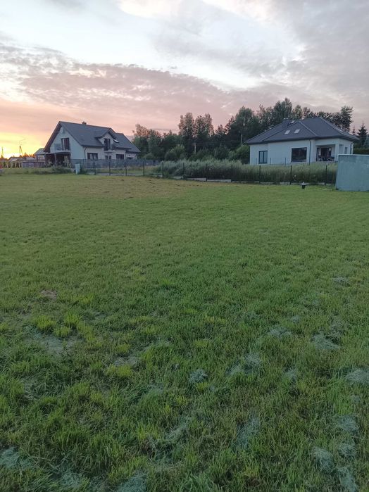 Zdjęcie 6