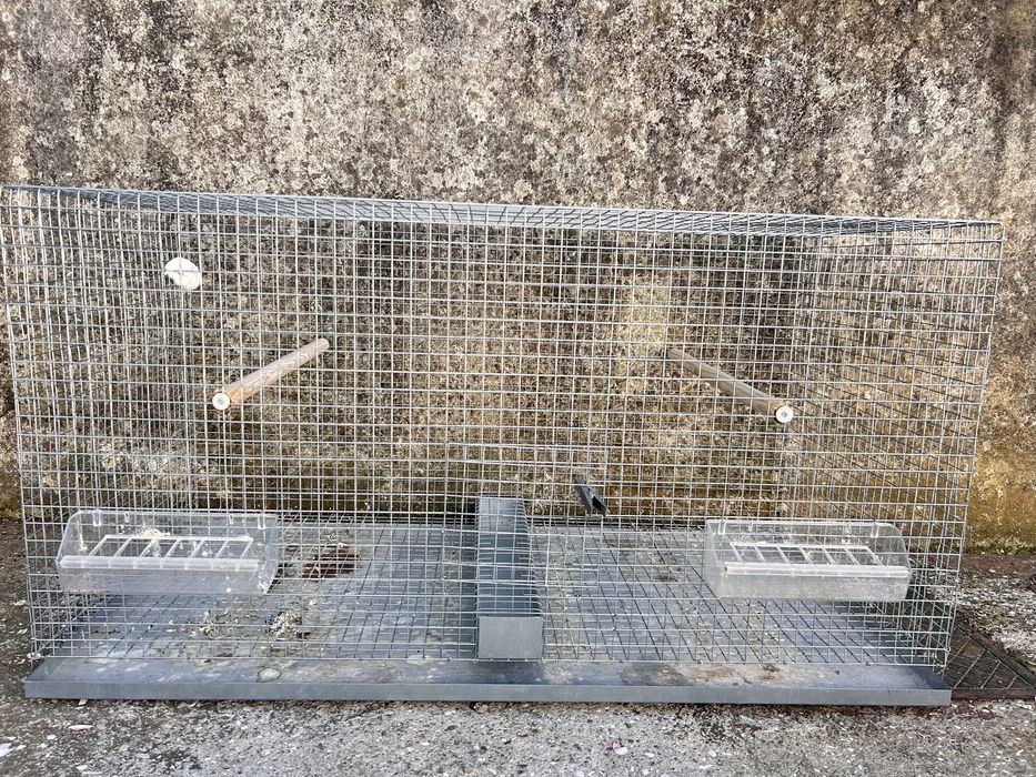 Voadeiras para aves com comedouros