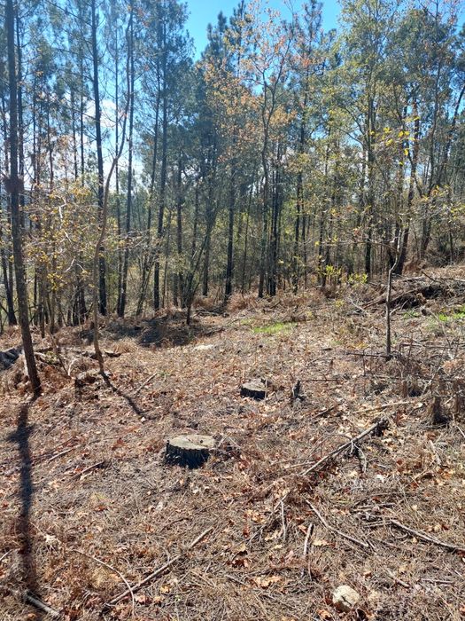 Vendo terreno Urbanizável