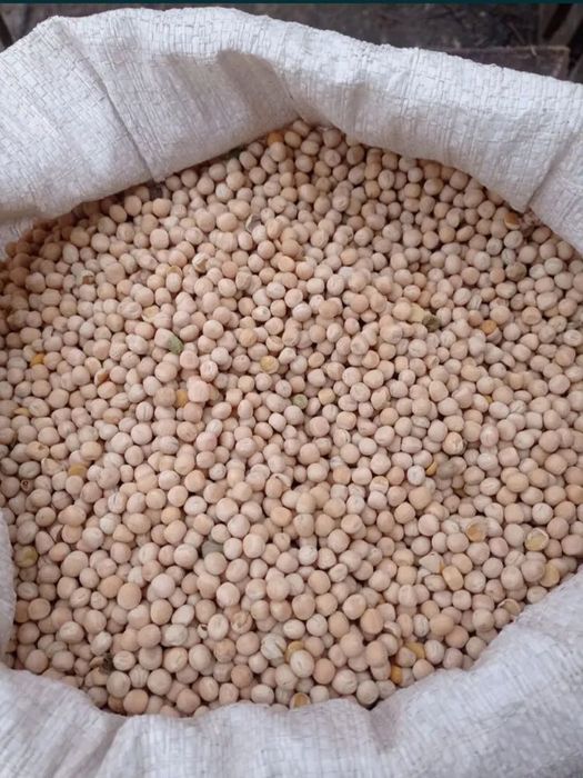 Продам горох і ячмінь на корма