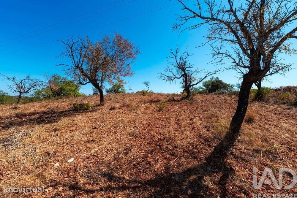 Terreno em Conceição e Estoi de 5480,00 m2
