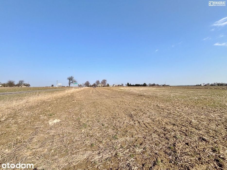 Jabłonna - Wierciszów - działka budowlana - 9 a