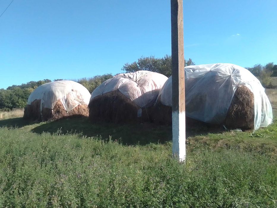 Продам сіно степове