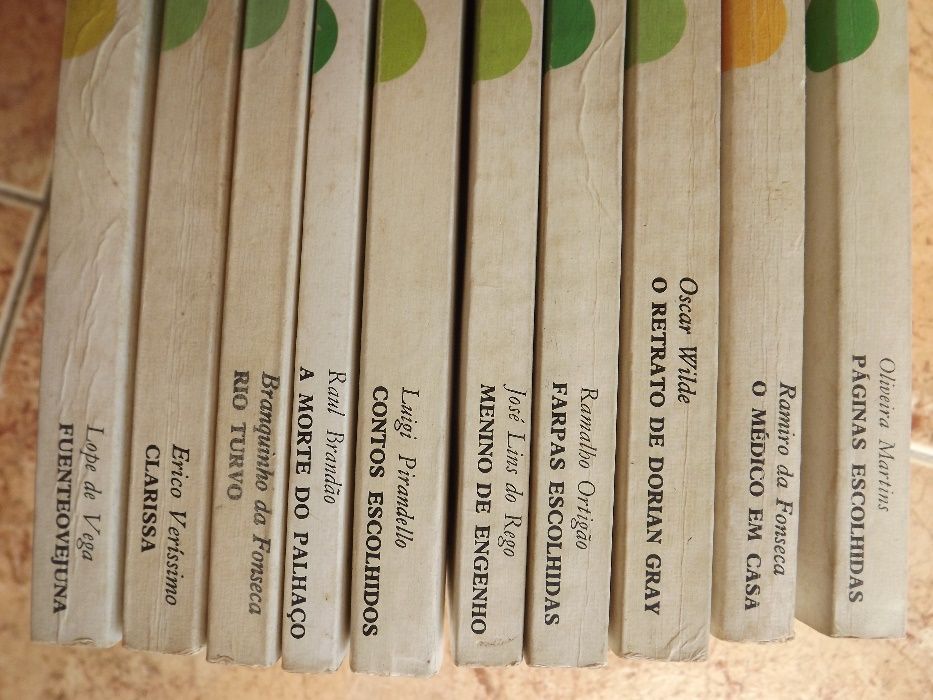 lote 89 livros de leitura e livros coleçao rtp