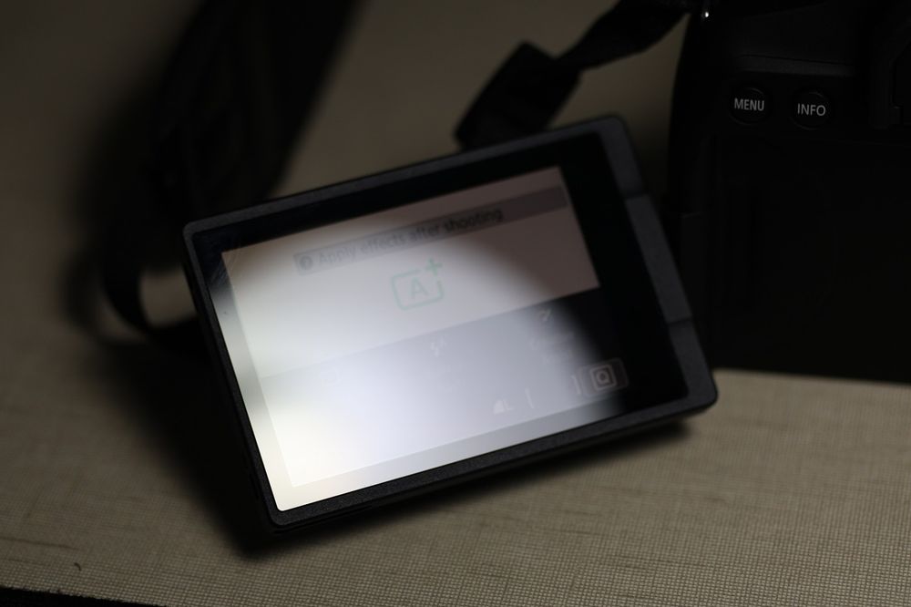 Canon EOS 850D + Yongnuo 100mm