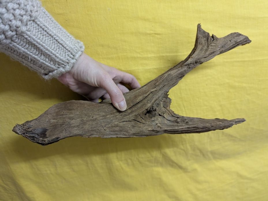 3 tronco de madeira para aquarofilia - nunca usada