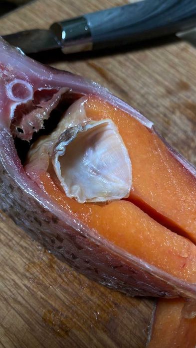 Продам живые свежие раки между наличие креветка рыба