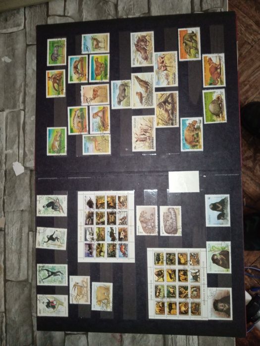 Stare znaczki i polskie monety i banknoty