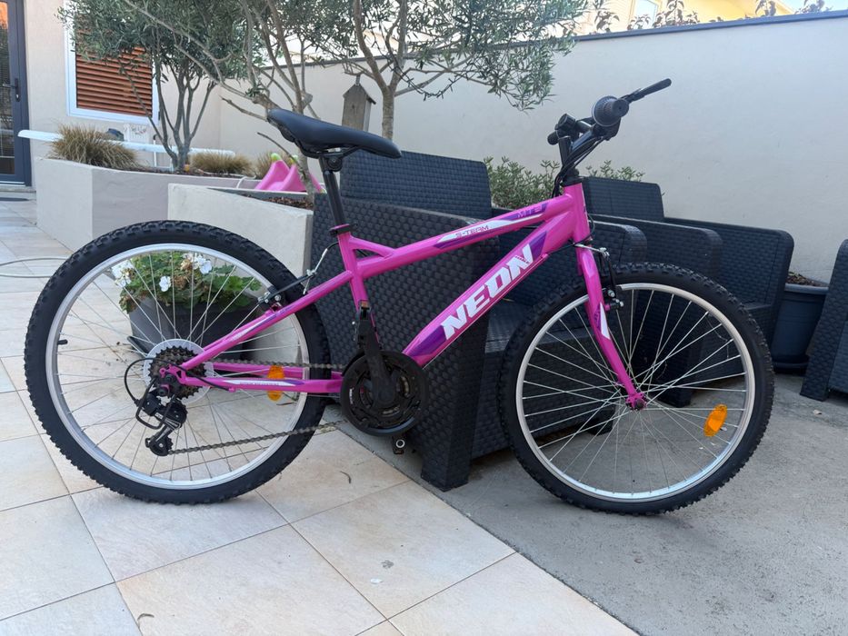 Bicicleta Rosa Neon