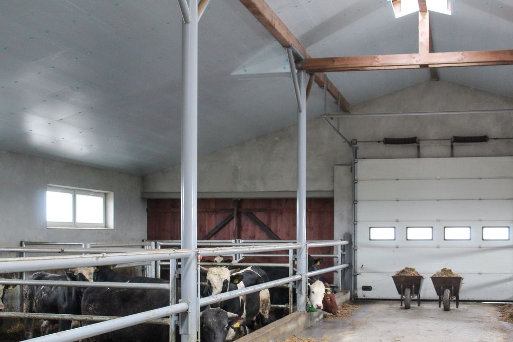 Płyty Podsufitka Podbitka Ocieplenie Izolacja Dachu Styrodur XPS AGRO