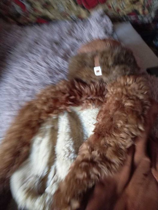 Женская дубленка монгольская