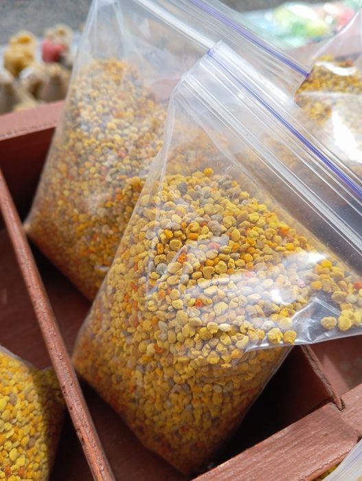 Пилок бджолиний свіжий