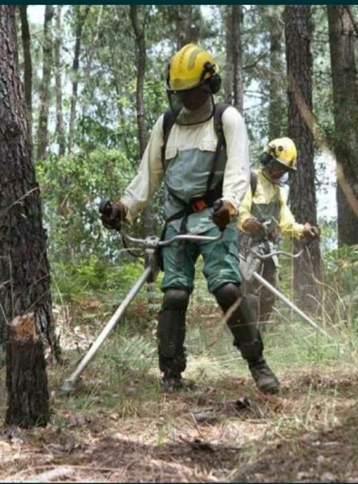 Limpeza dematizacao terreno