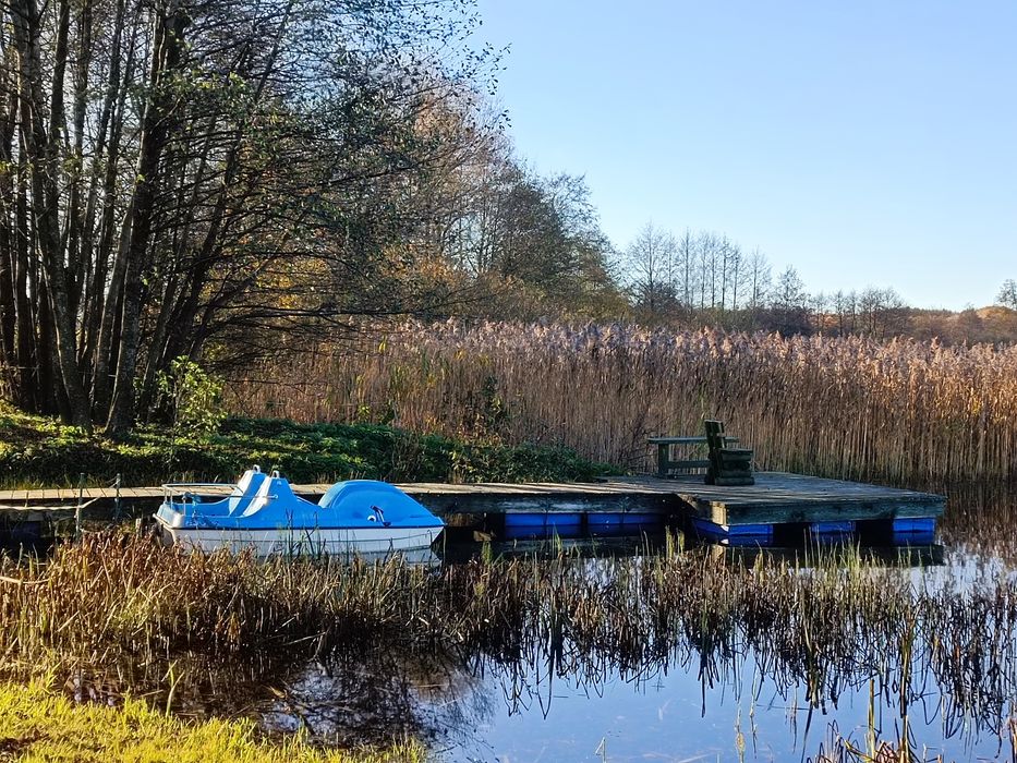 Domek nad jeziorem, Kaszuby, konie, mini SPA na wyłączność