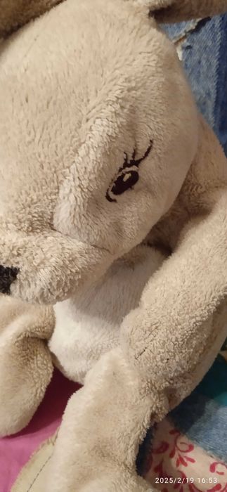 Заиц, дельфин , серые