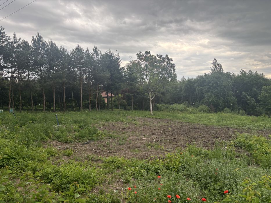 Działka budowlana 1248 m² Jordanów Śląski, Blisko Wrocławia - Widok 2