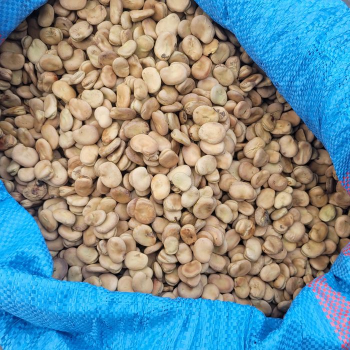 Bób oczyszczony Bizon WYSYŁKA Super JAKOŚĆ jasny 2025r