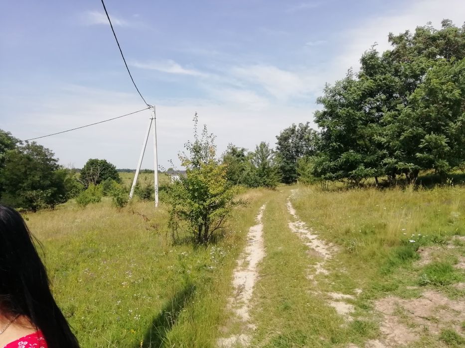 Продам земельну ділянку Здорівка Васильківський район. - Вид 4