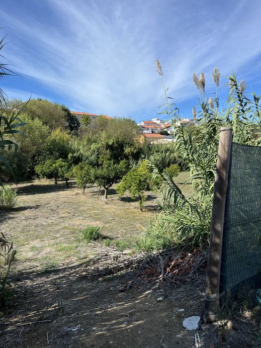 Terreno Torres Novas