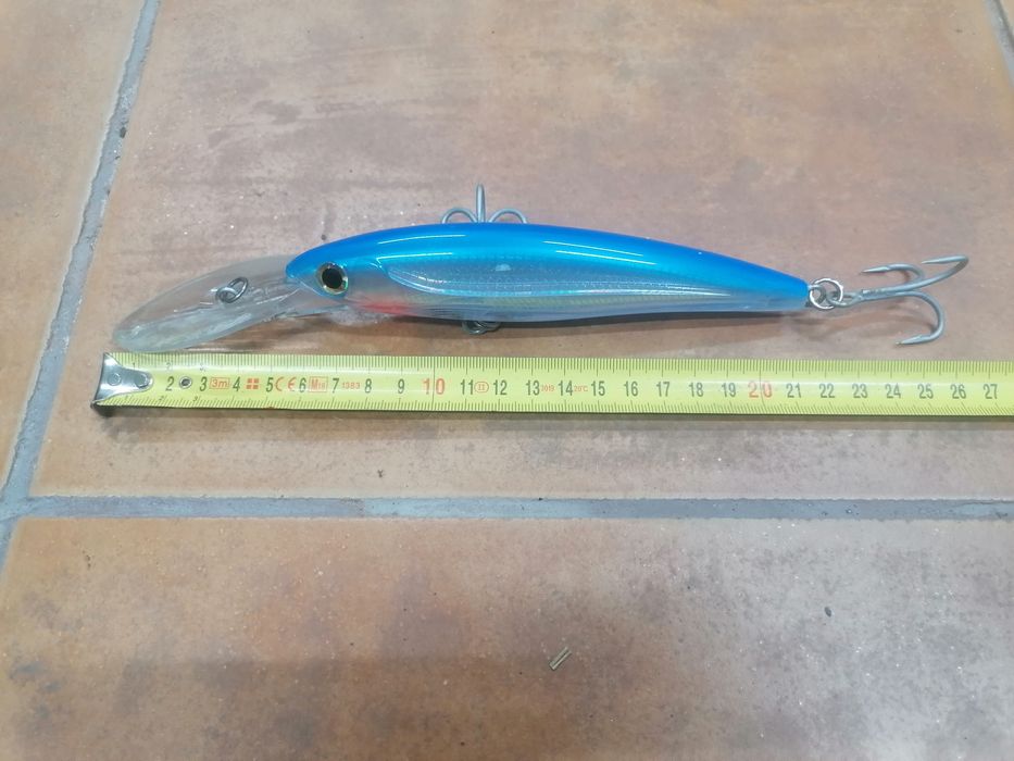 Amostras de pesca Rapala e Storm