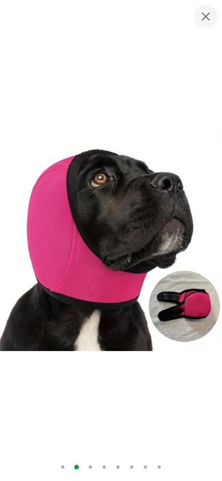 Навушники для собак