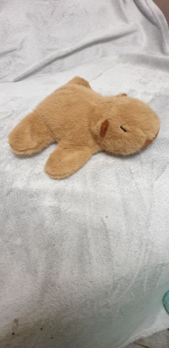 Mięciutka pluszowa kapibara – przyczepna do ręki