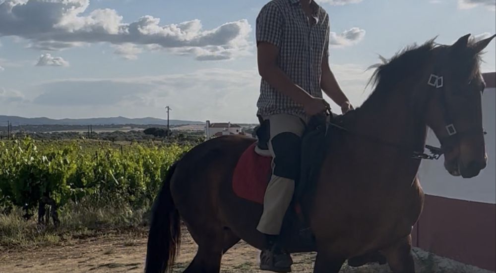 Egua Montada e Engatada