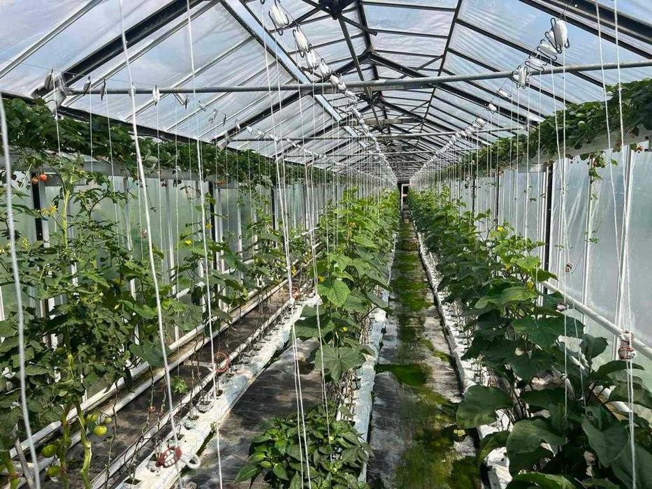 господарський комплекс 9,7 га, ягідно-овочеве підприєство, Львів