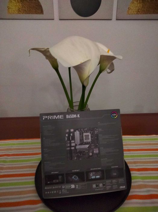 Asus B650M-K | AM5