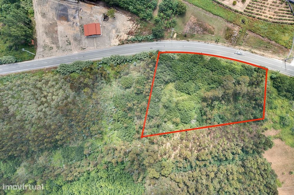 Terreno  para venda
