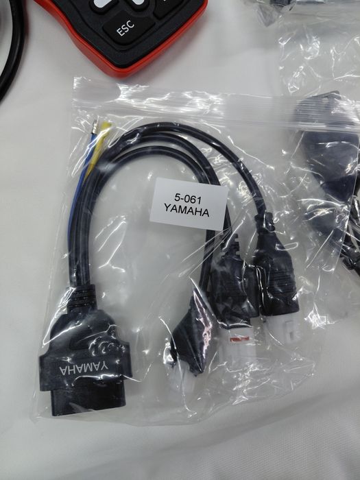 Diagnóstico  de motas