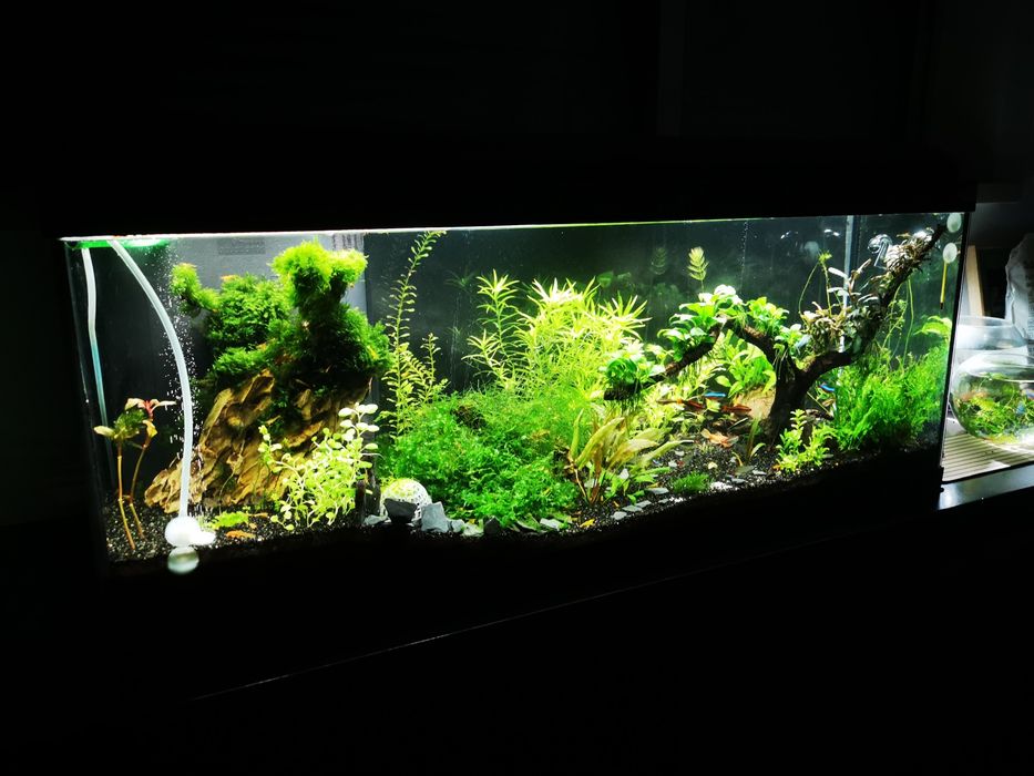 Aquário Aqualantis 120litros
