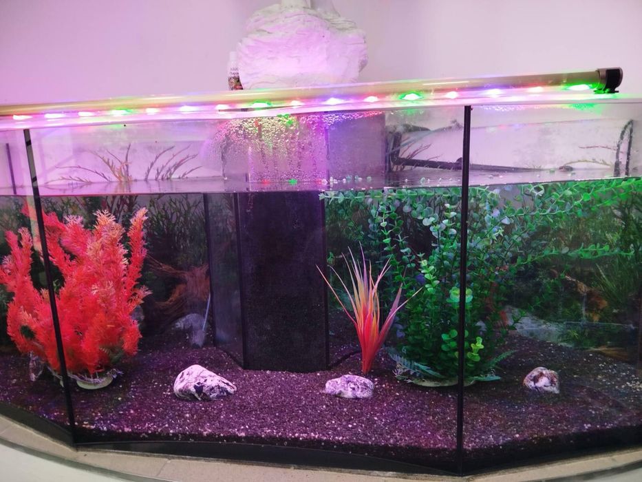 Великий акваріум на 345 л