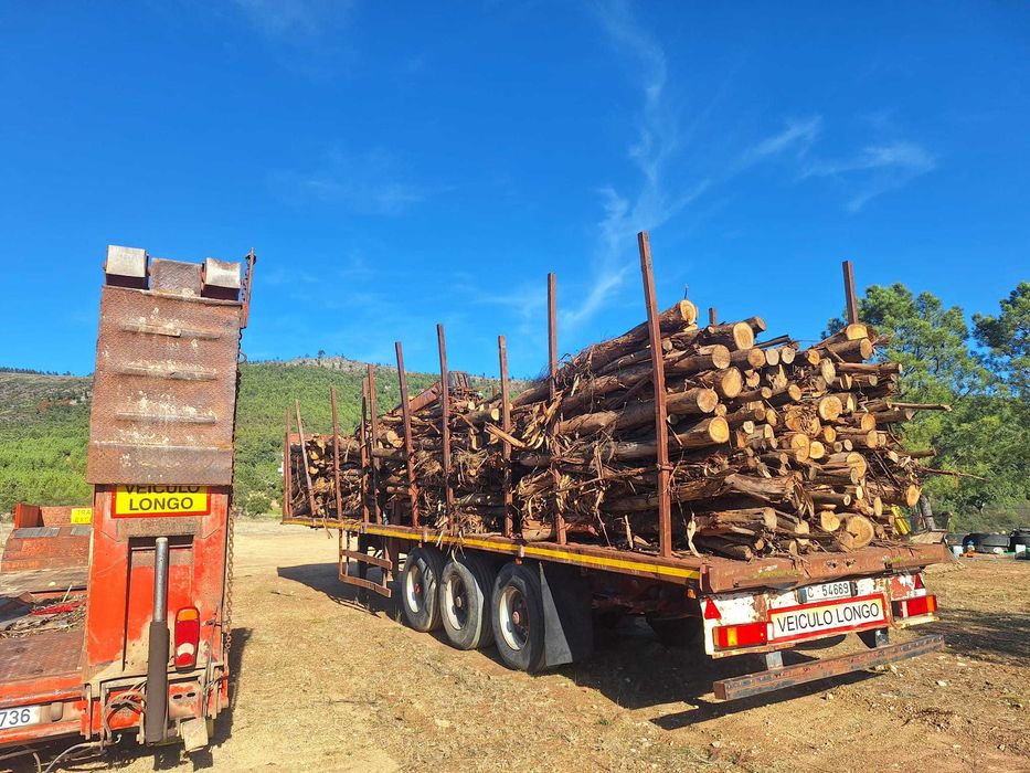 Galera de madeira com Grua Guerra