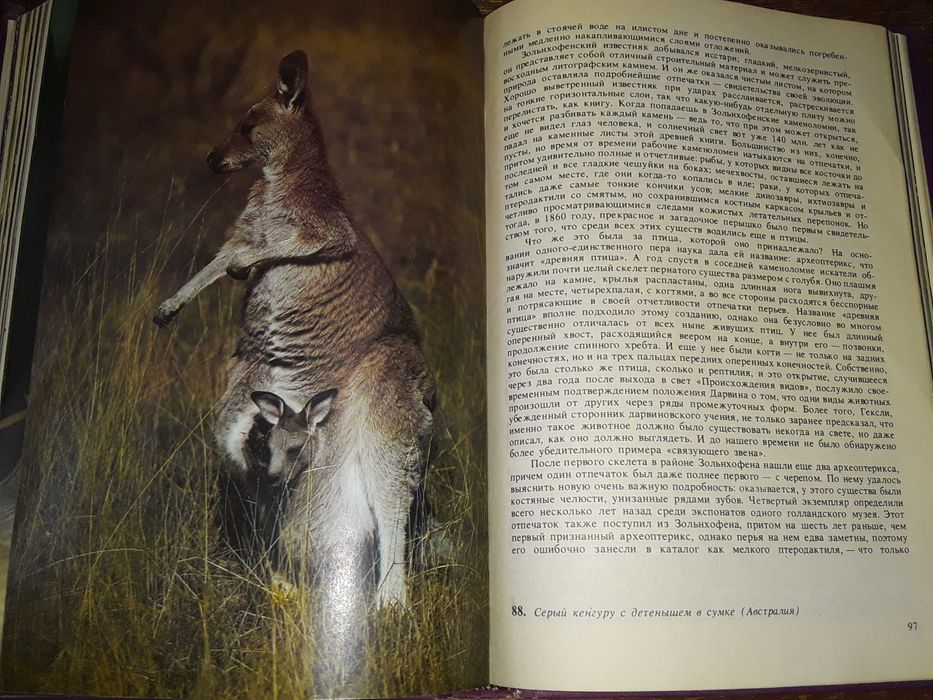 Дэвид Эттенборо "Жизнь на Земле"