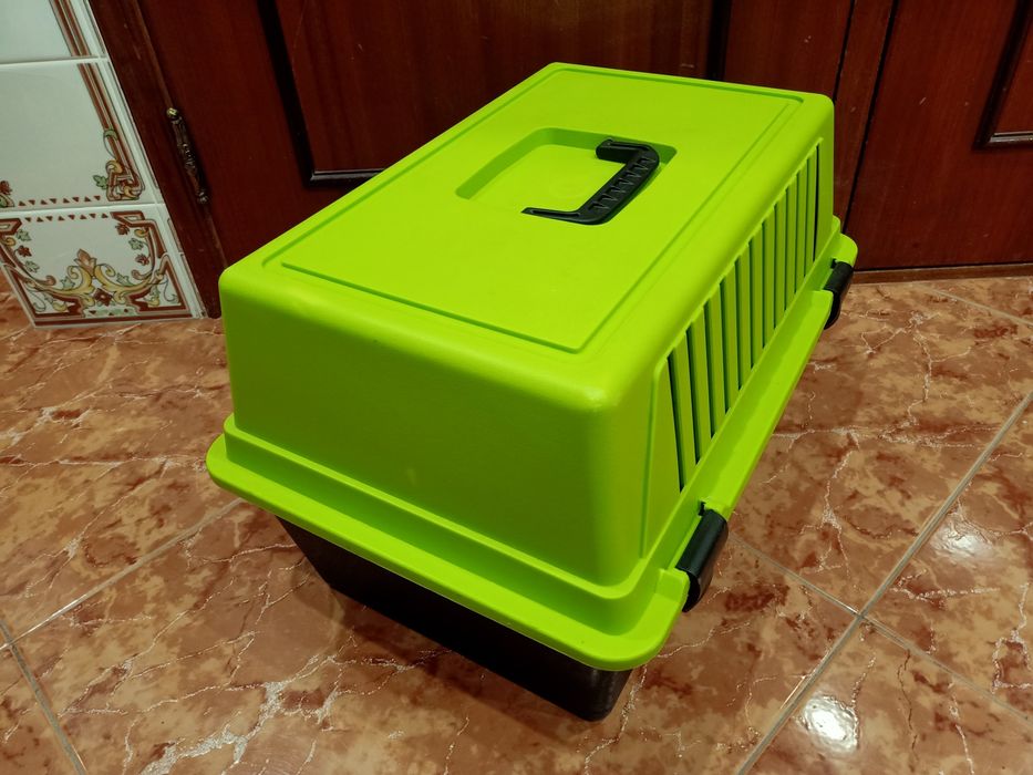 Transportadora animais de estimação carro casa quarto apartamento.
