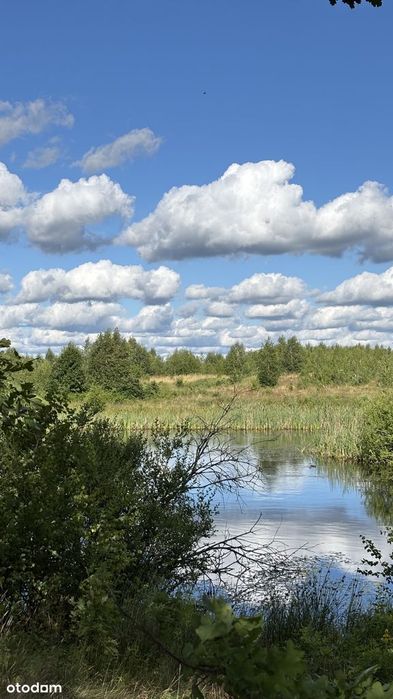 Jeleńcz - Dz.budowlana (WZ)