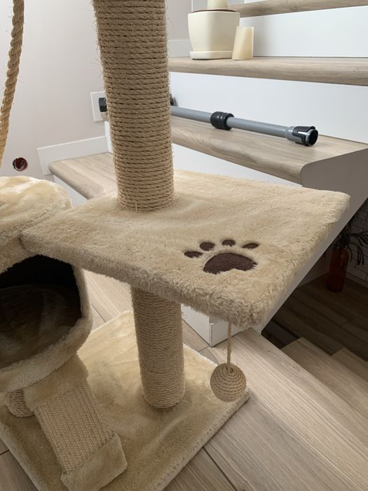 Duzy drapak dla kota